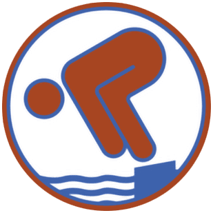 Abzeichen Deutsches Jugendschwimmabzeichen Bronze (Freischwimmer)